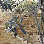 Amoroso - Ospitalita Mediterranea Agrigent