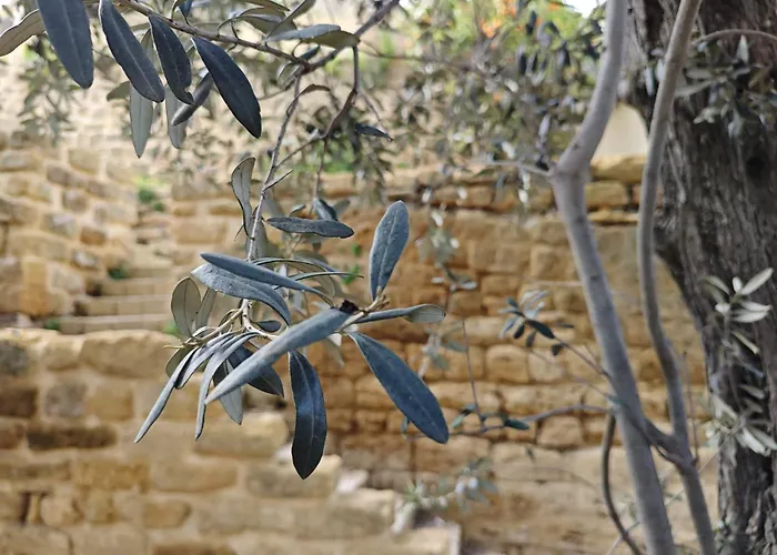 Amoroso - Ospitalita Mediterranea أغريجنتو